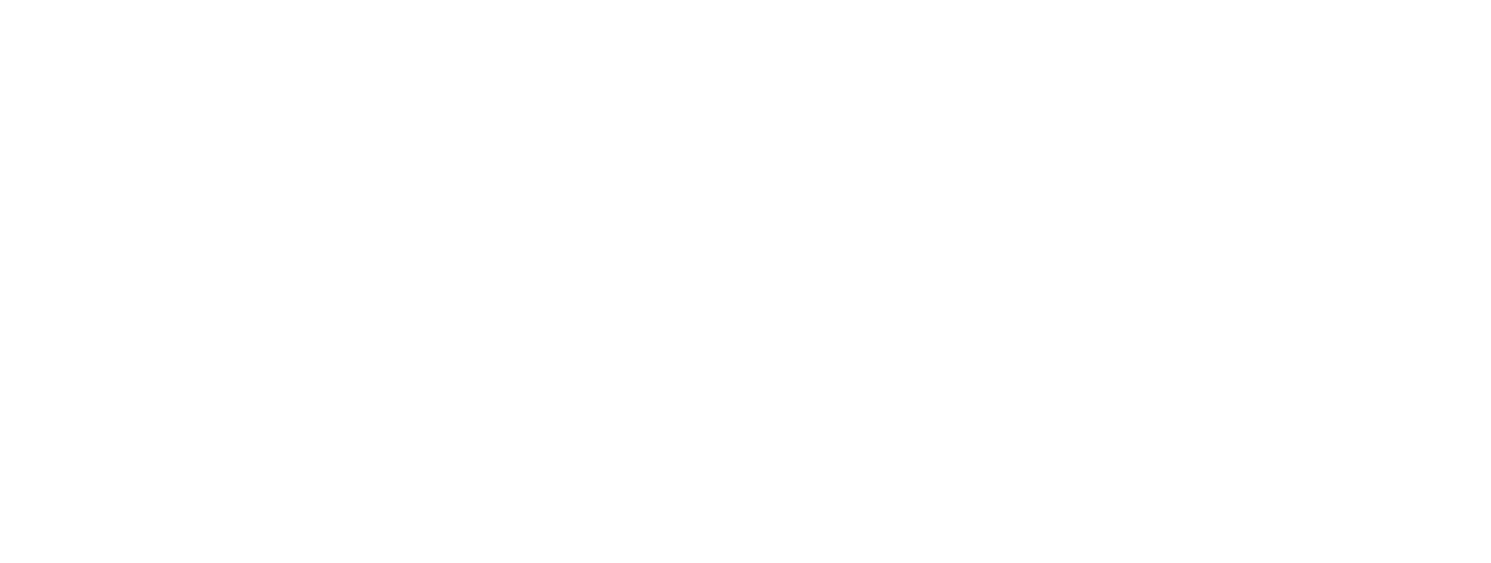 N29.AI